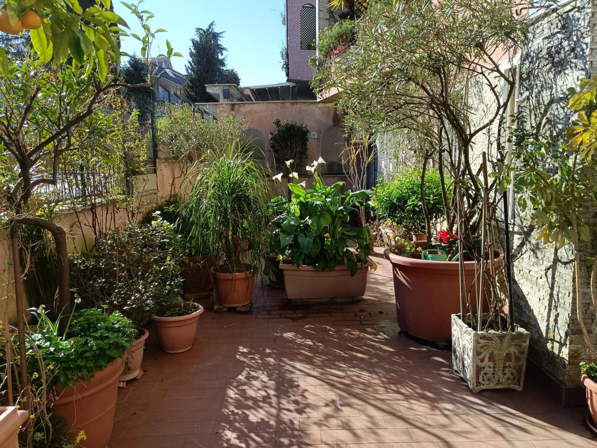 Vatican Treasure Garden Roma