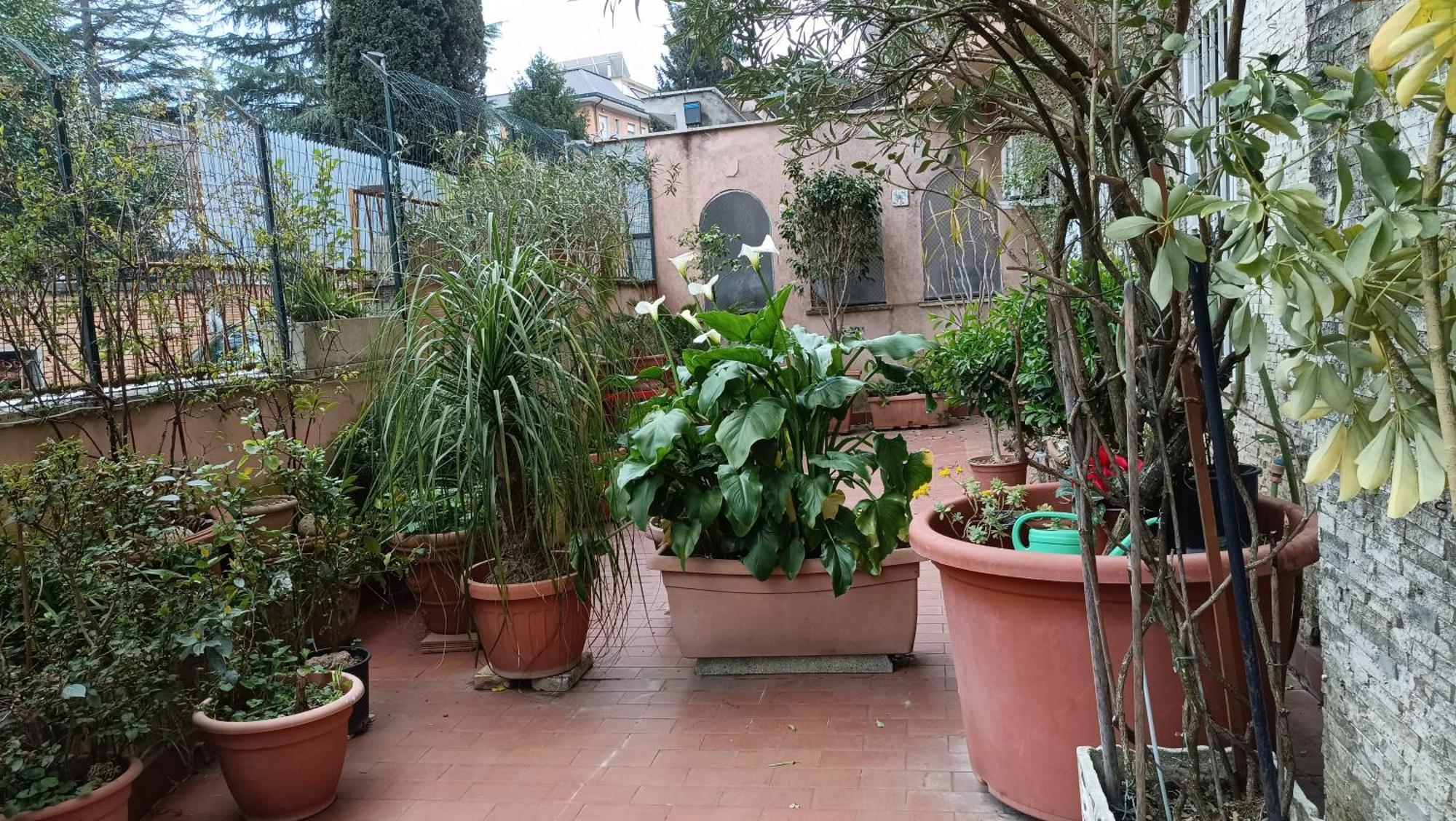 Vatican Treasure Garden Appartamento Roma